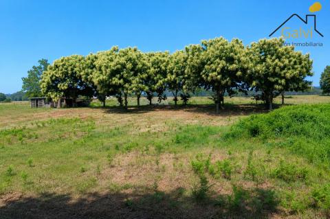 Finca urbanizable en Abegondo